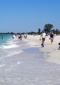 Condado de Sarasota