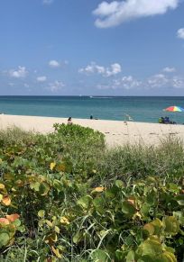 Condado de Palm Beach
