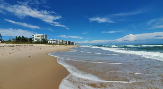 Sandy Toes beach