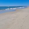 Playa de Assateague