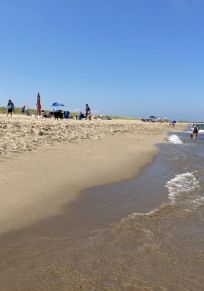 Isla de Martha's Vineyard