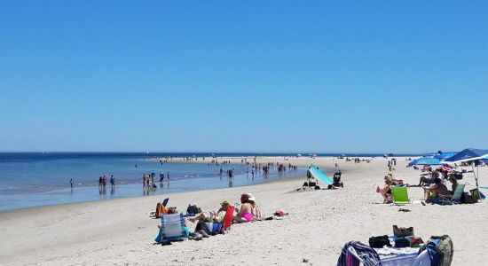Playa Crane