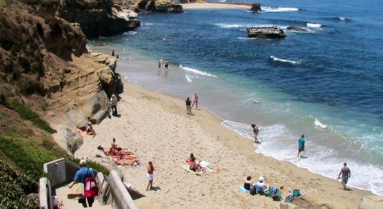 Shell beach