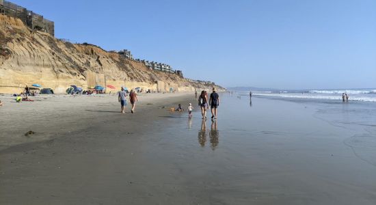 Fletcher Cove beach