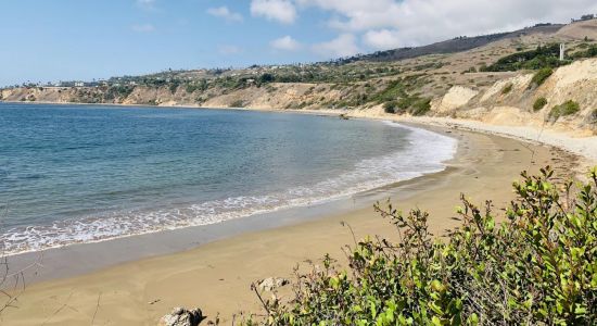Abalone Cove Beach