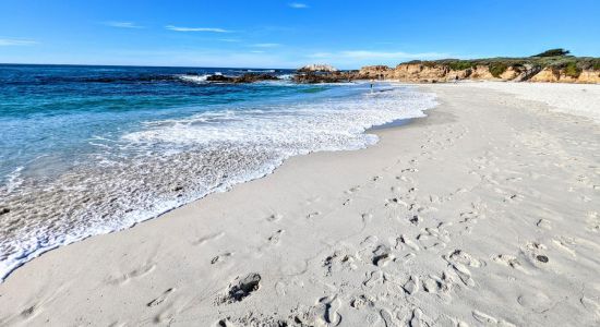 Seal Rock Beach