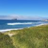 Playa de Pacific City