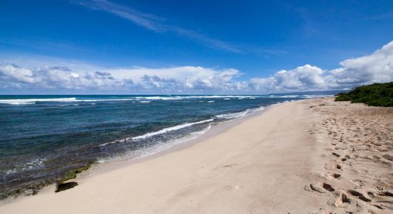 Mokule'ia Army Beach