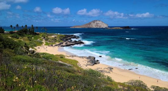 Playa Makapuu