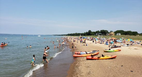 New Buffalo Beach