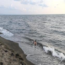 Foto de Shekvetili beach con costa recta y larga