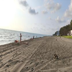 Foto de Shekvetili beach área de servicios