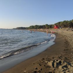 Foto de Ureki Nature beach área de servicios