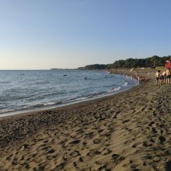 Foto de Ureki Nature beach ubicado en área natural