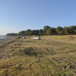 Foto de Ureki Nature beach con costa recta y larga