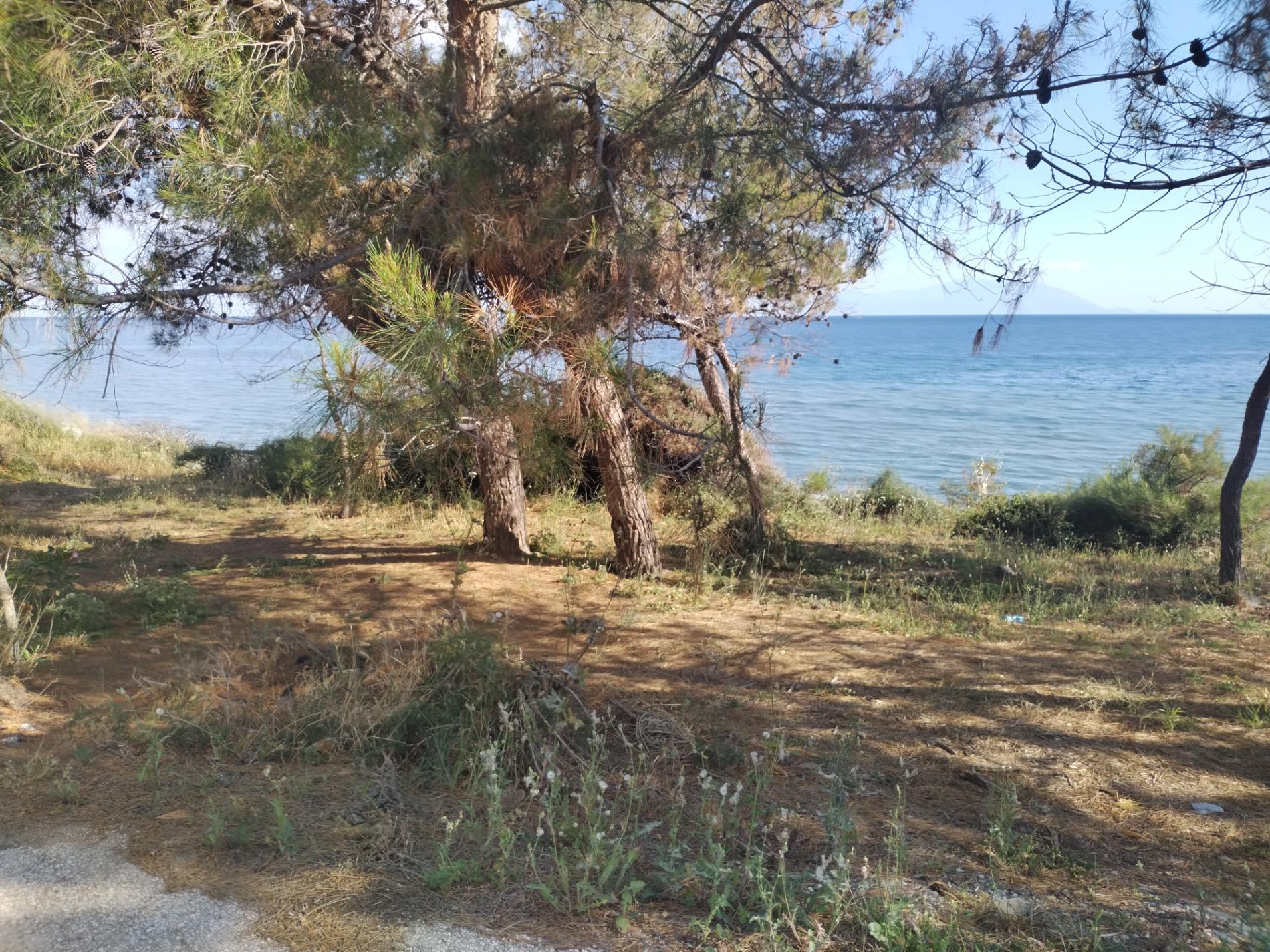Foto de Mesimvria Zoni beach ubicado en área natural