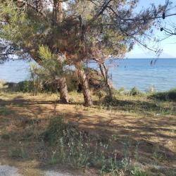 Foto de Mesimvria Zoni beach ubicado en área natural