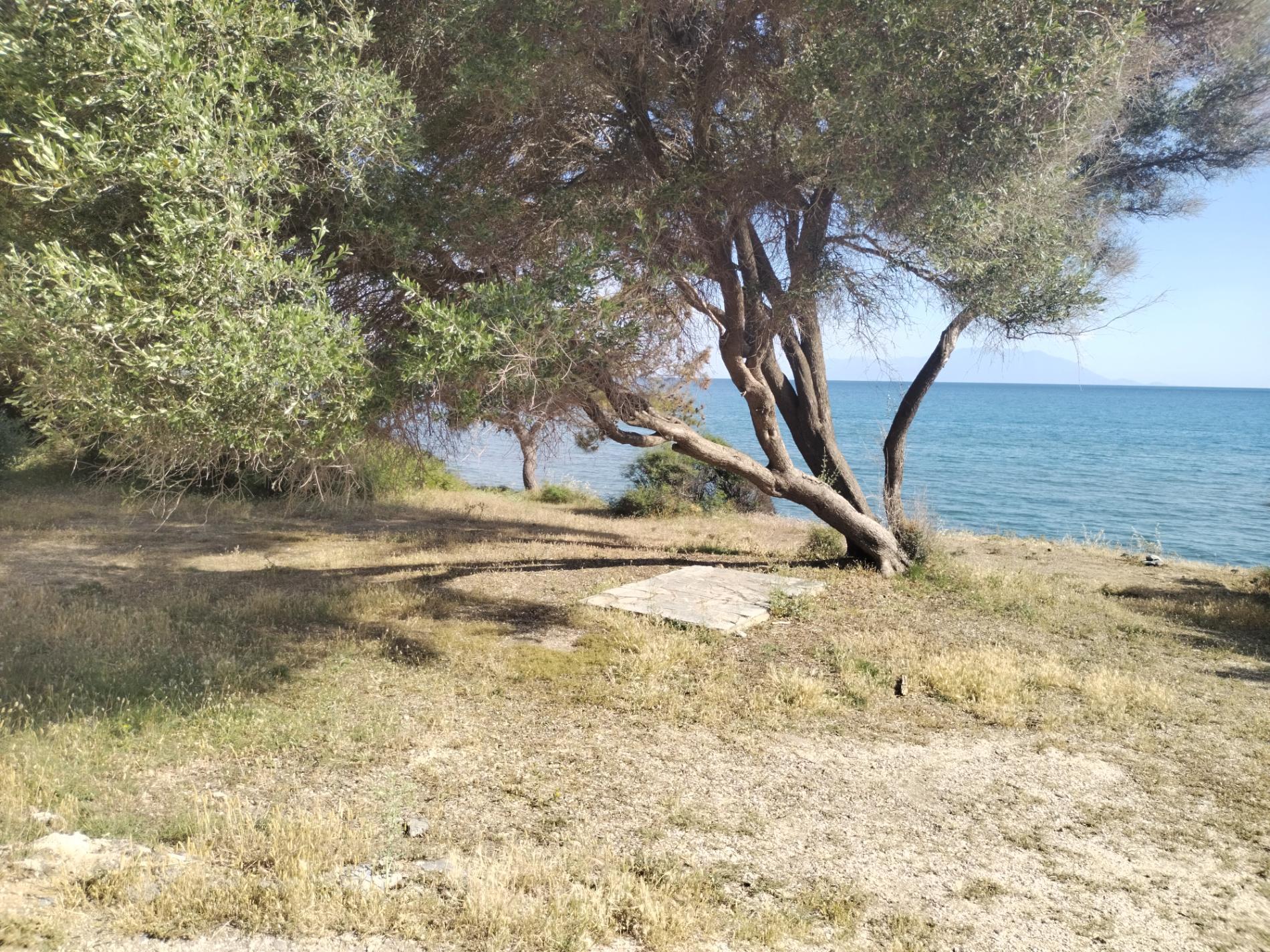 Foto de Mesimvria Zoni beach rodeado de montañas