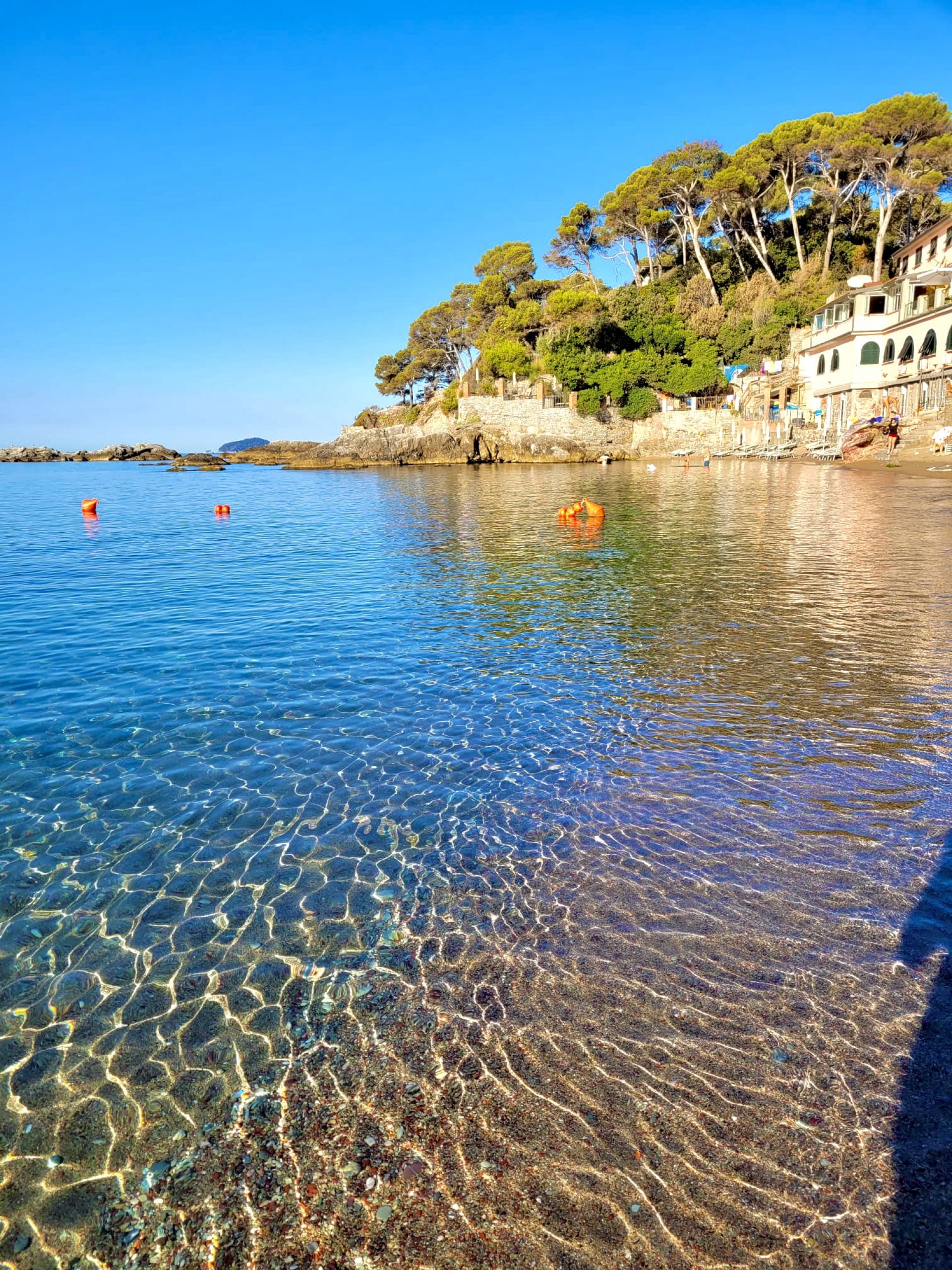 Foto de Spiaggia Fiascherino respaldado por acantilados