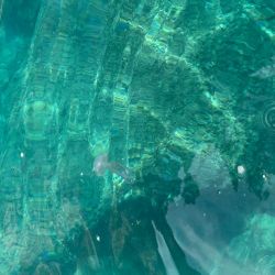 Foto de Spiaggia Cavallo Morto y su hermoso paisaje