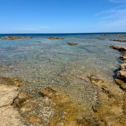Foto de Cala Toni con bahía espaciosa