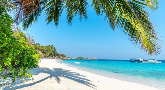 Playa Eagle