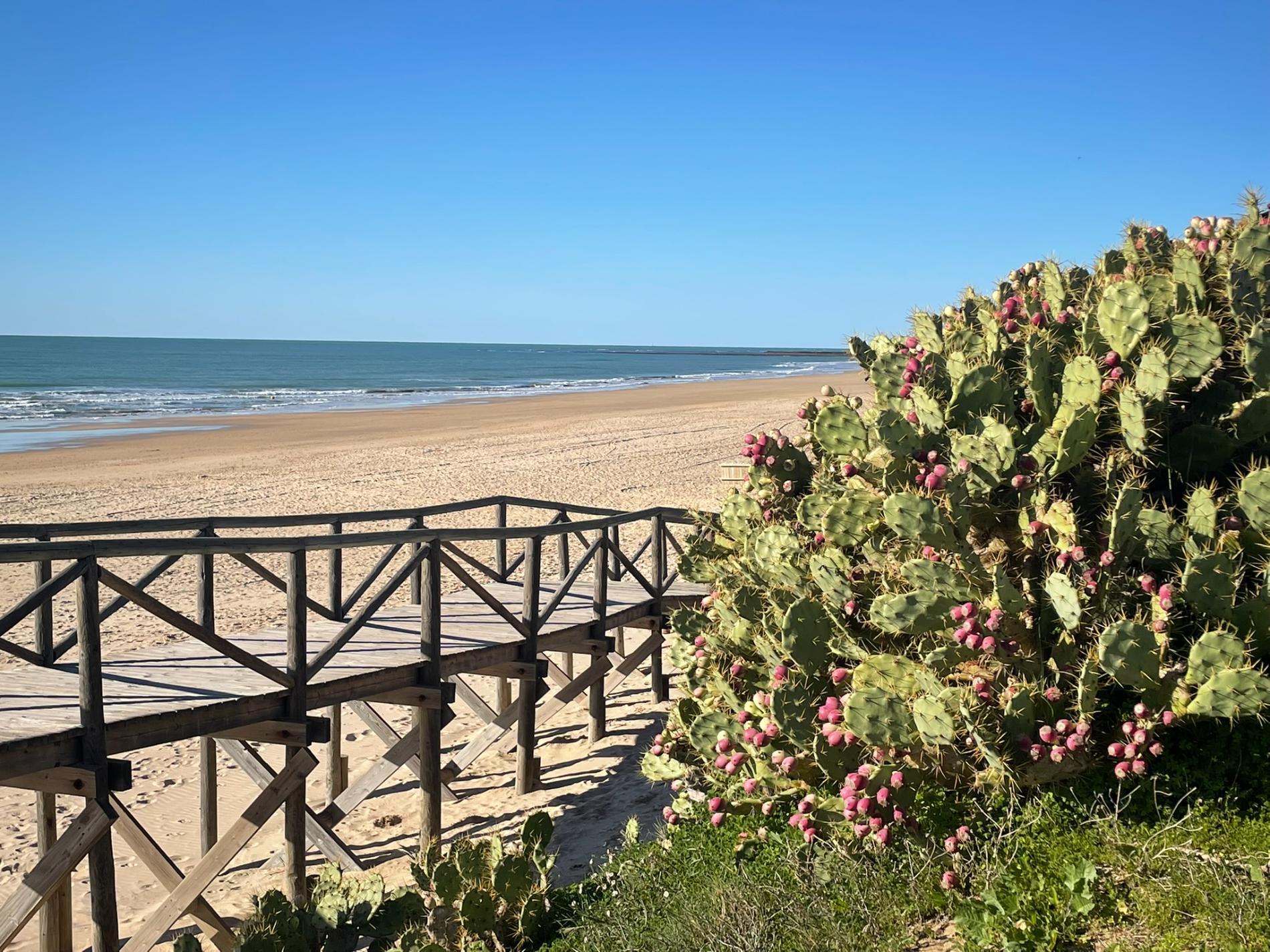 Foto de Playa de las Tres Piedras y el asentamiento