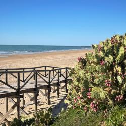 Foto de Playa de las Tres Piedras y el asentamiento