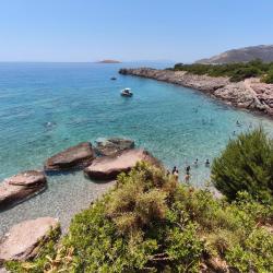Foto de Aquarium beach ubicado en área natural