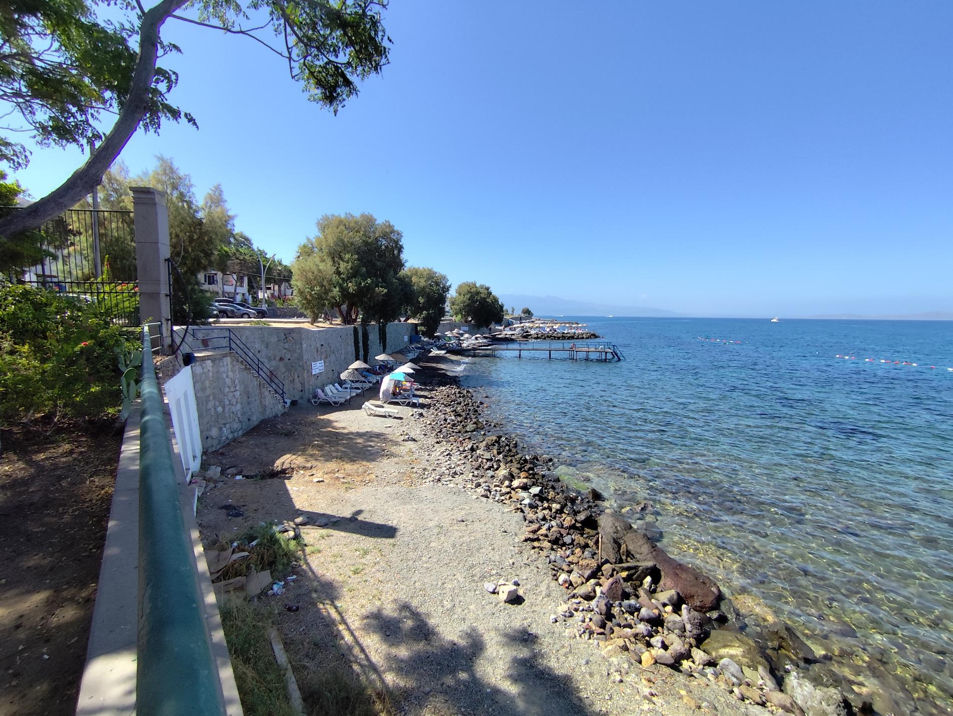 Foto de Turgutreis beach II zona salvaje
