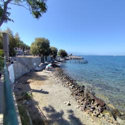 Foto de Turgutreis beach II zona salvaje