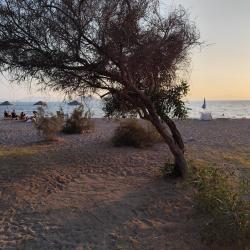 Foto de Ayvan beach III con varias bahías espaciosas