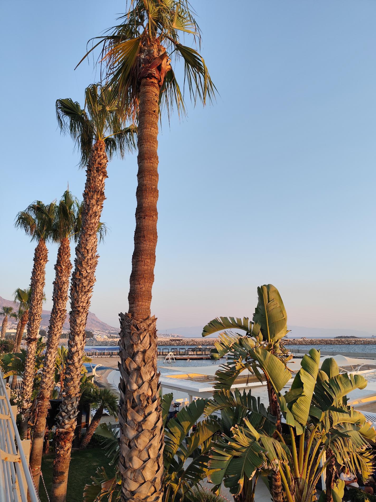 Foto de Arin Beach con una costa recta