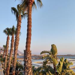 Foto de Arin Beach con una costa recta