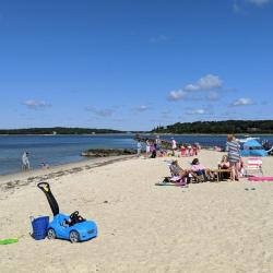 Foto de Megansett Beach con algo limpia nivel de limpieza