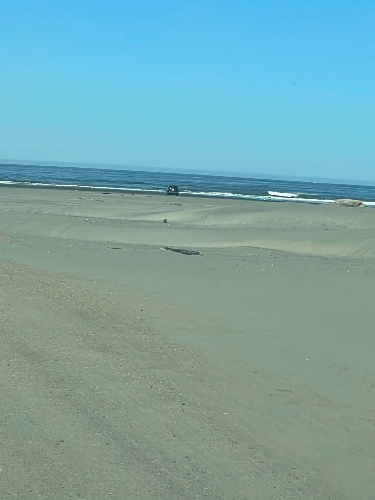 Foto de Ocean Shores Beach - lugar popular entre los conocedores del relax
