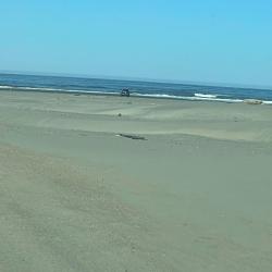 Foto de Ocean Shores Beach - lugar popular entre los conocedores del relax