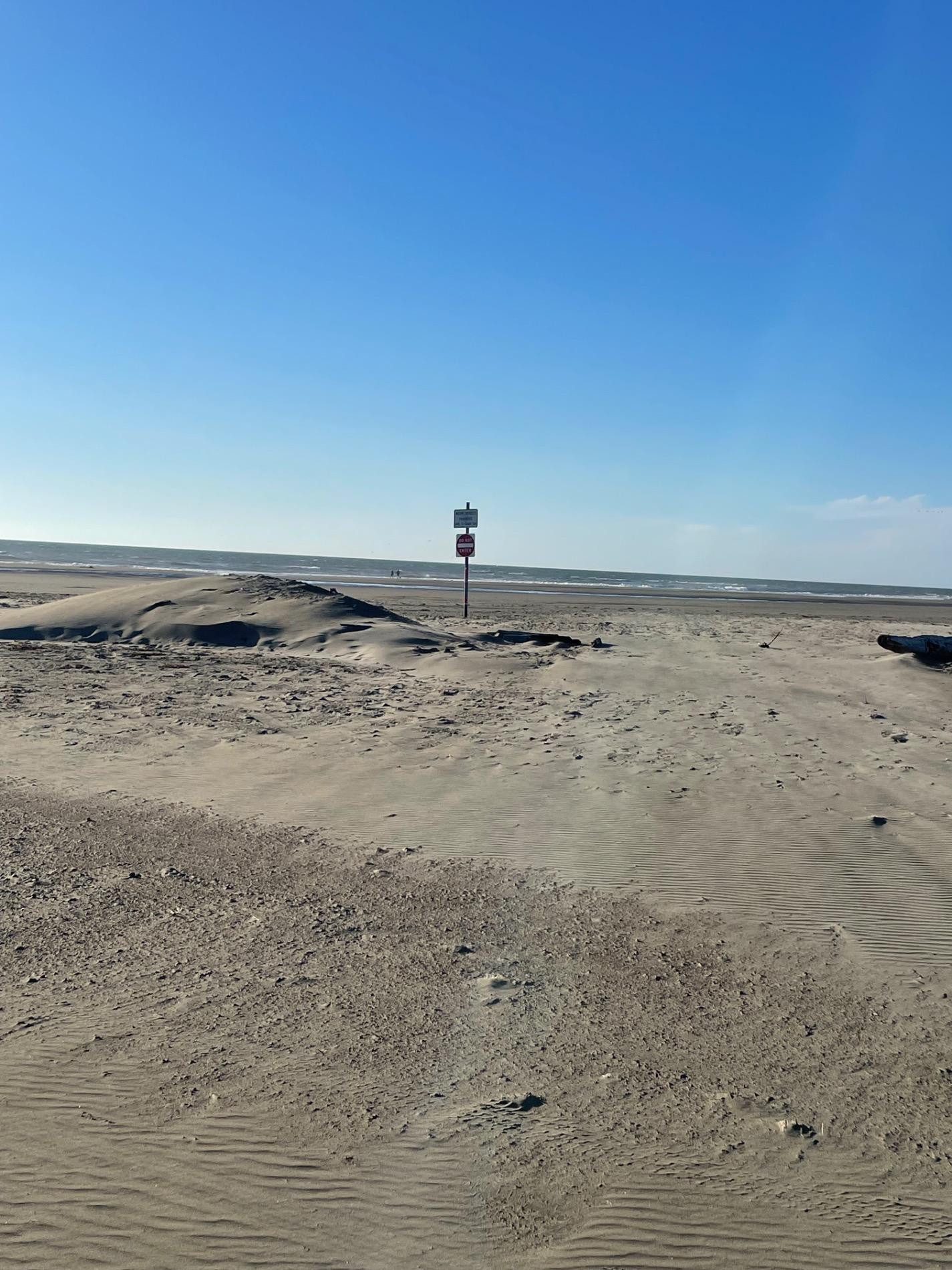 Foto de Ocean Shores Beach - buen lugar amigable para mascotas para vacacionar